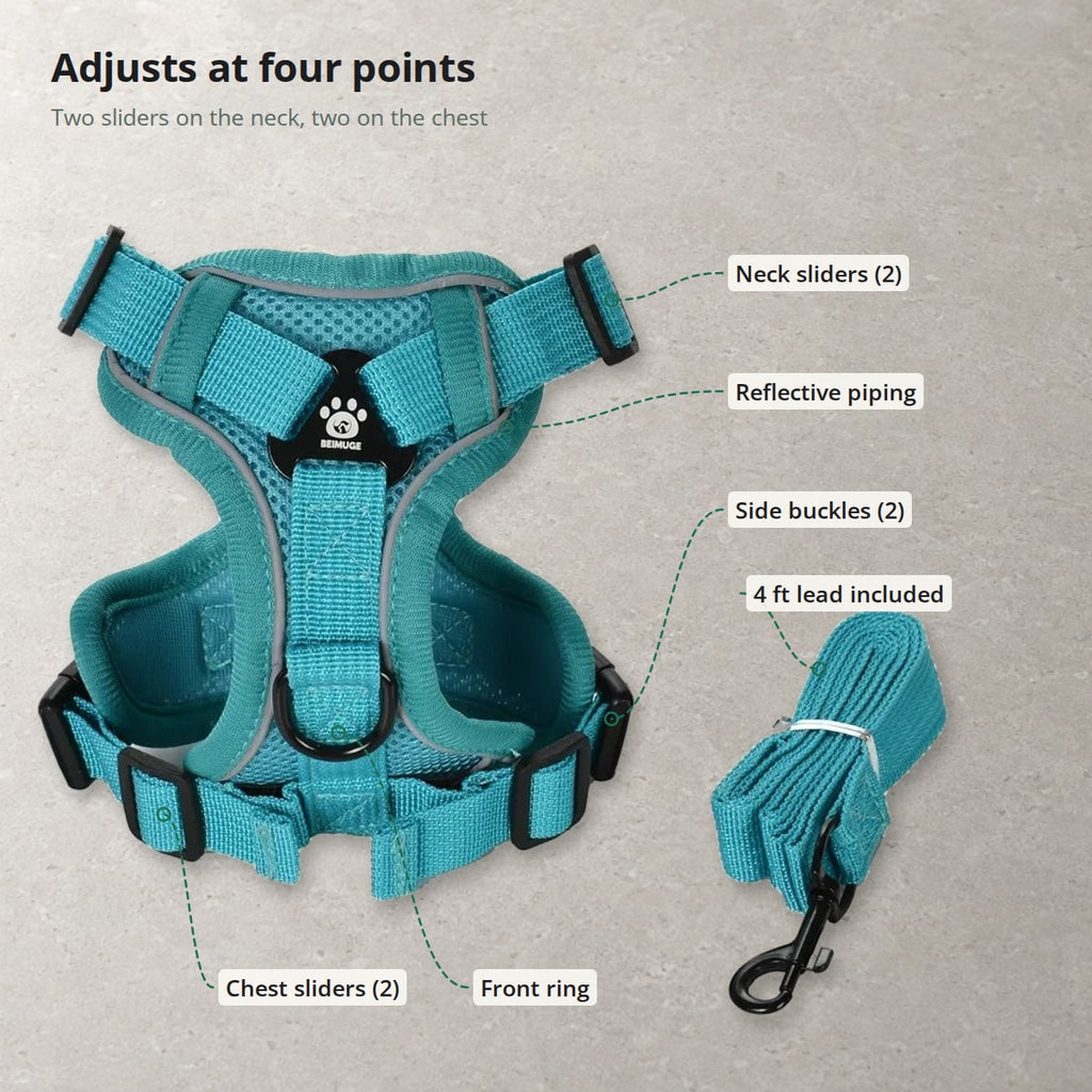 Teal Pawhold cat harness laid flat with its four sliders, two side buckles, front ring, reflective piping and 4 ft lead labelled