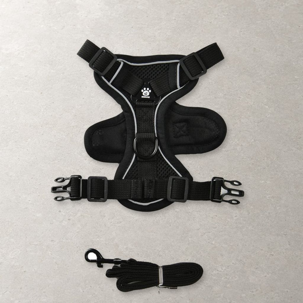 Black Pawhold cat harness laid flat with its matching leash