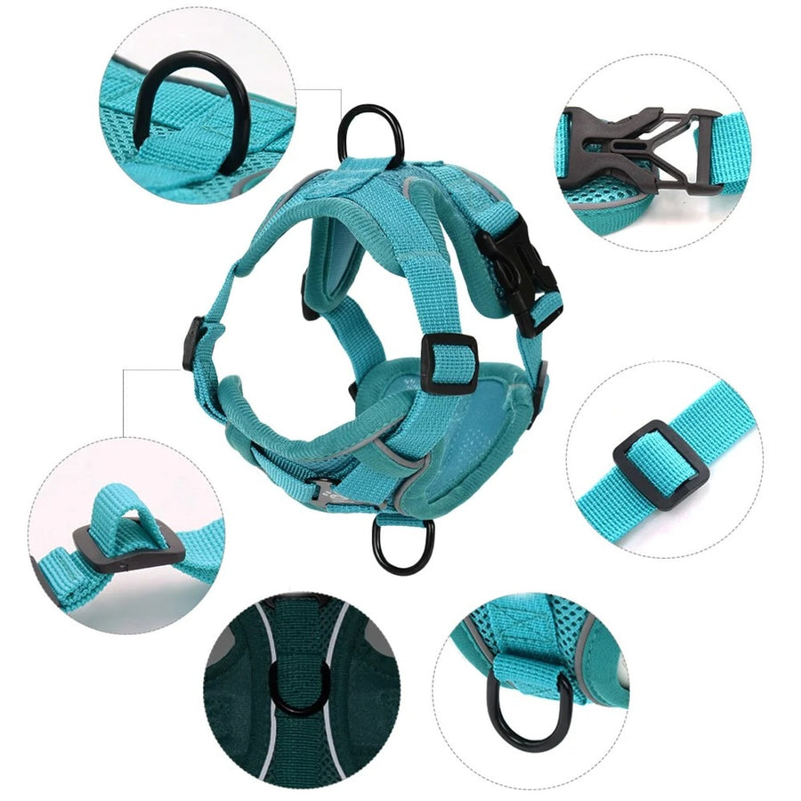 Close-ups of the teal Pawhold harness: back ring, side buckle, slider, strap keeper, front ring and reflective piping