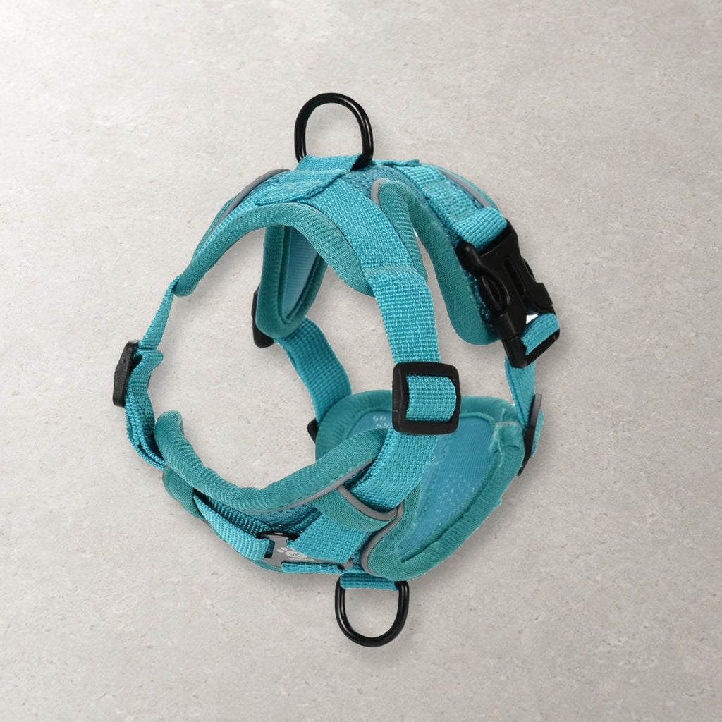 Teal Pawhold cat harness seen from the side, showing the back ring, the front ring and a side buckle