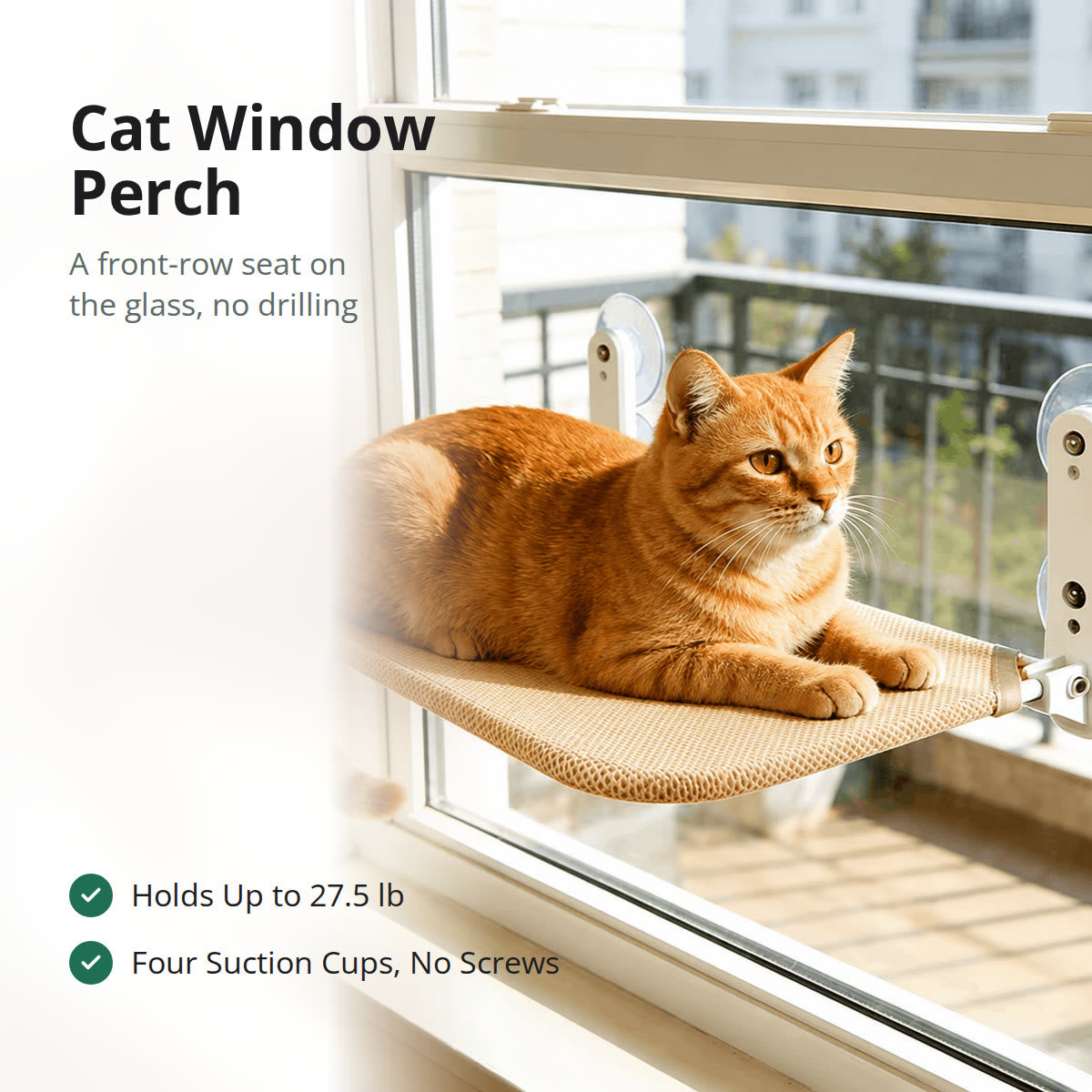 Ginger cat resting on a Pawhold cat window perch mounted on a balcony window with four suction cups
