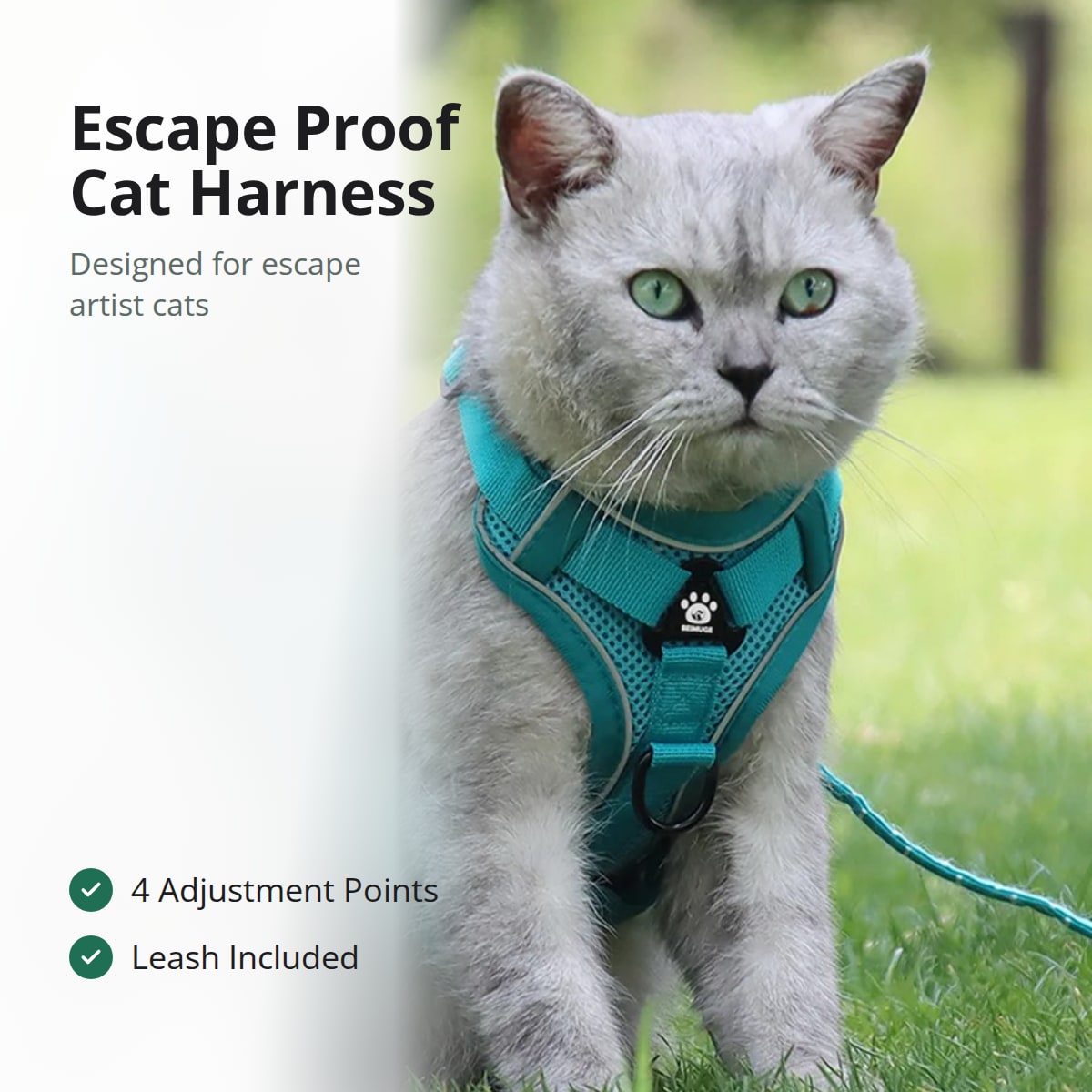 Gray cat on a lawn wearing the teal Pawhold escape proof cat harness with its leash attached